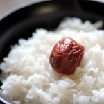 食材