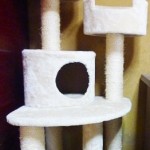 cattower